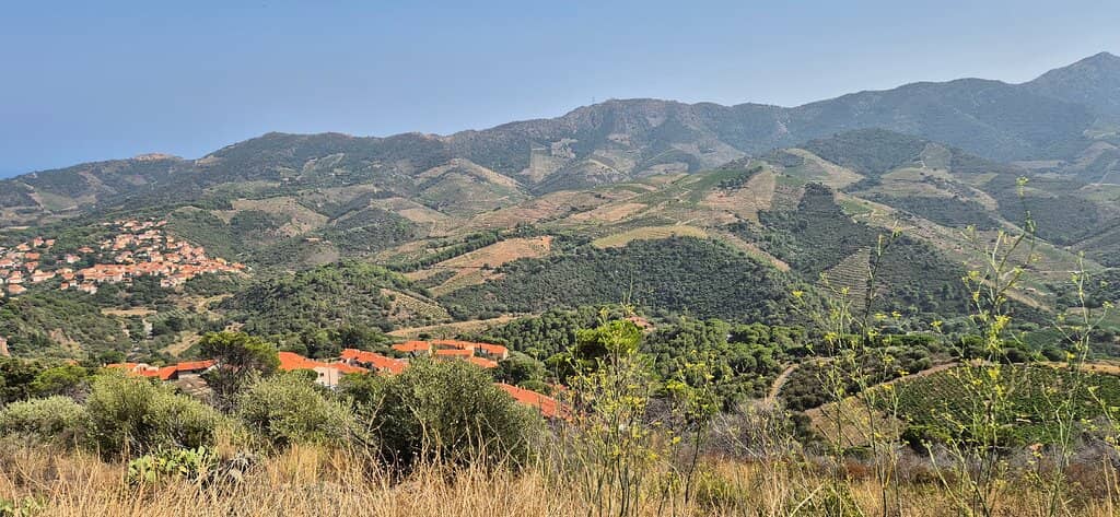 Tranquil Meditation Spot