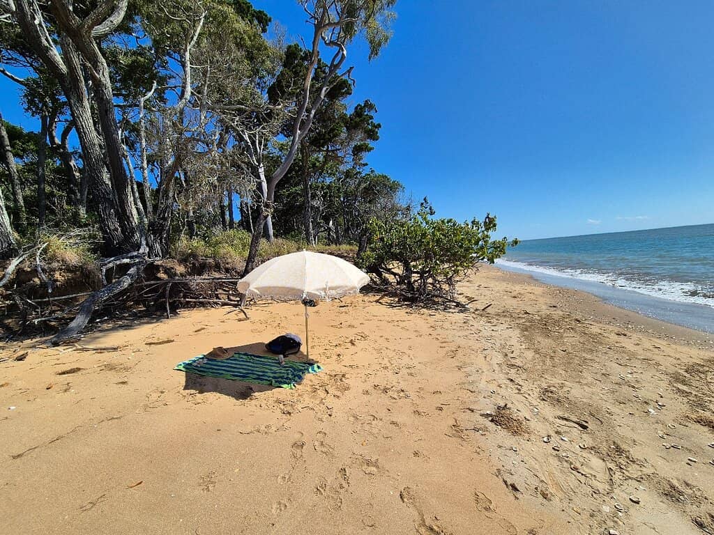 Luxury Property Views