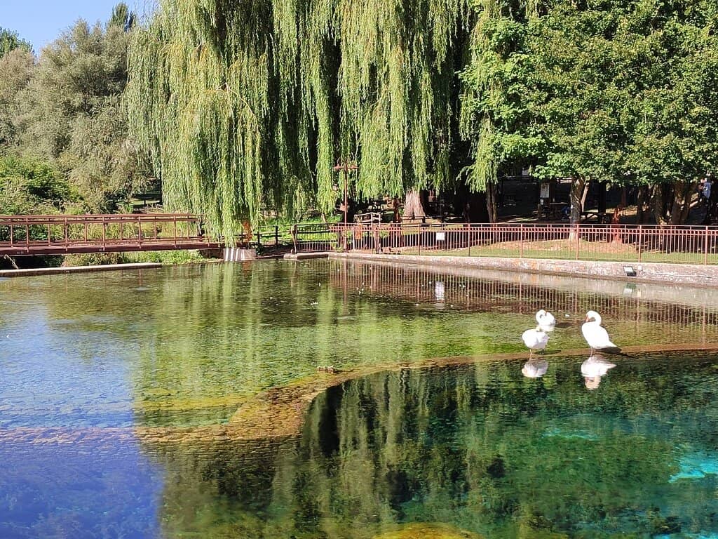 Festive Nativity Scene