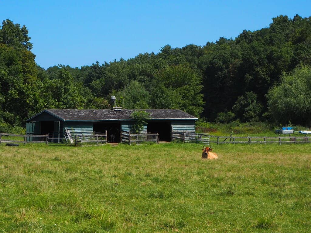 Informative Guided Tours