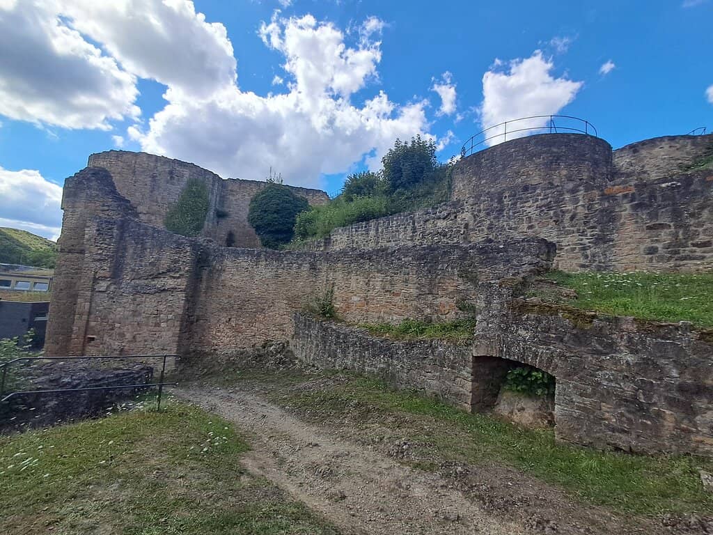Vertical photo