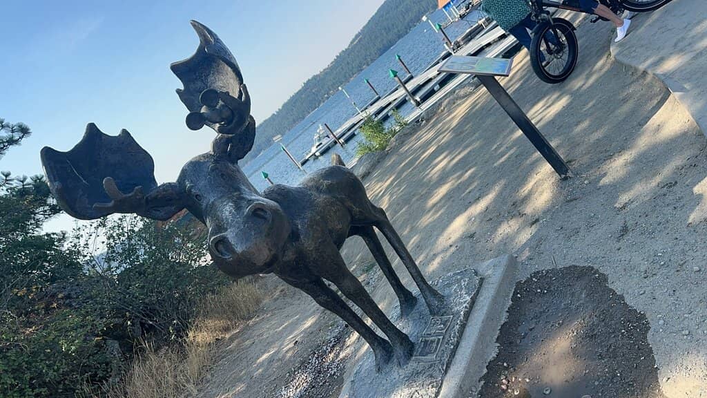 Off-Leash Dog Park