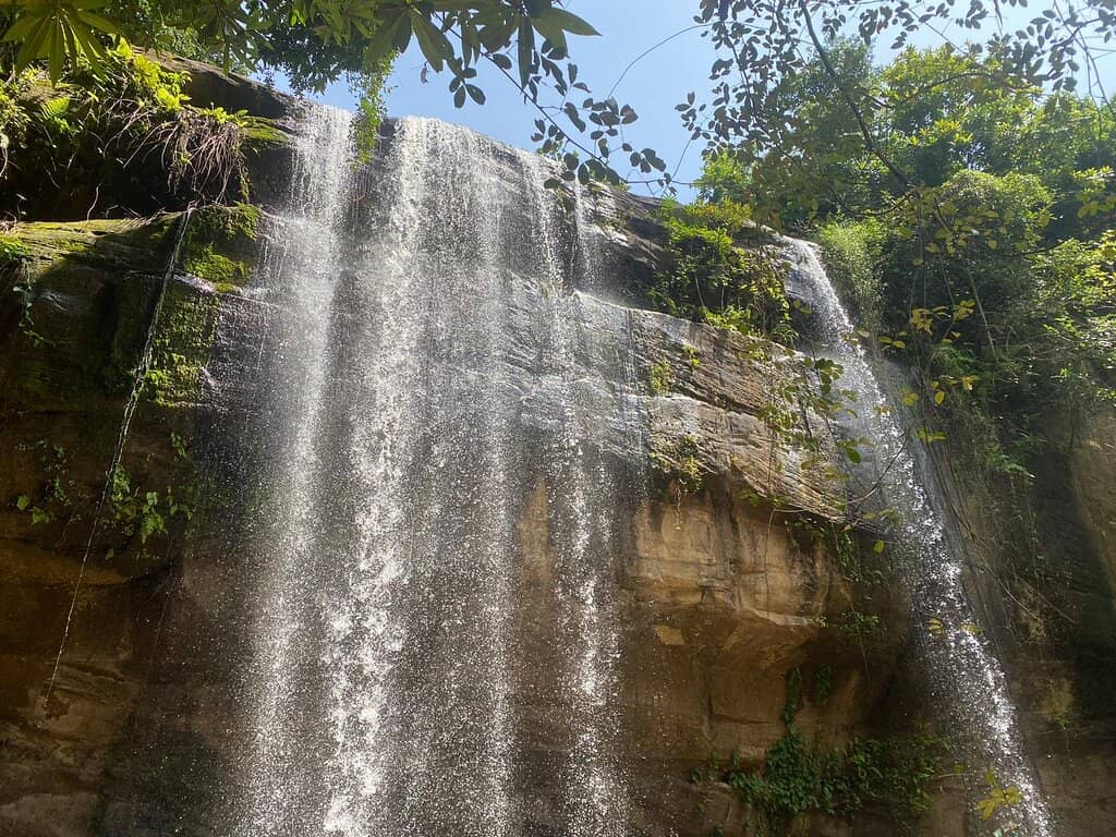 Rainforest Trek