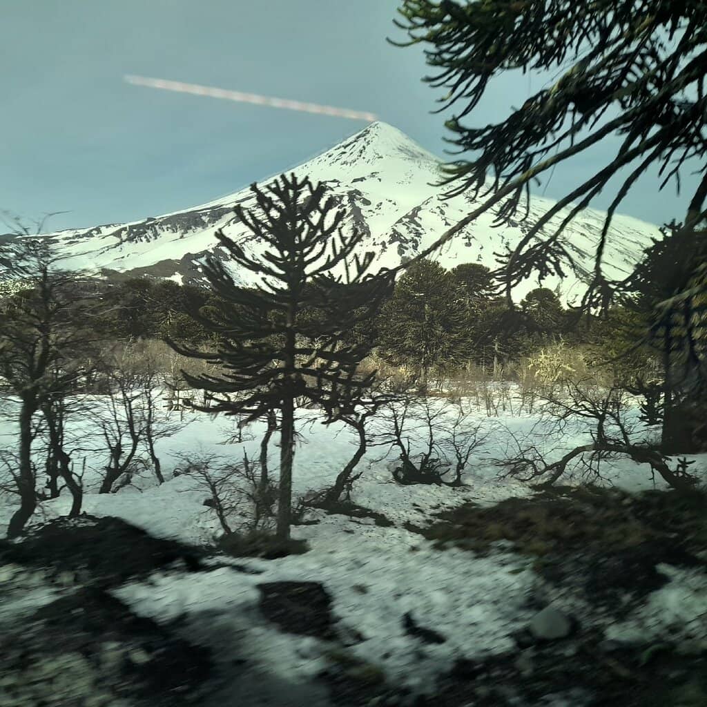 Winter Snowscapes