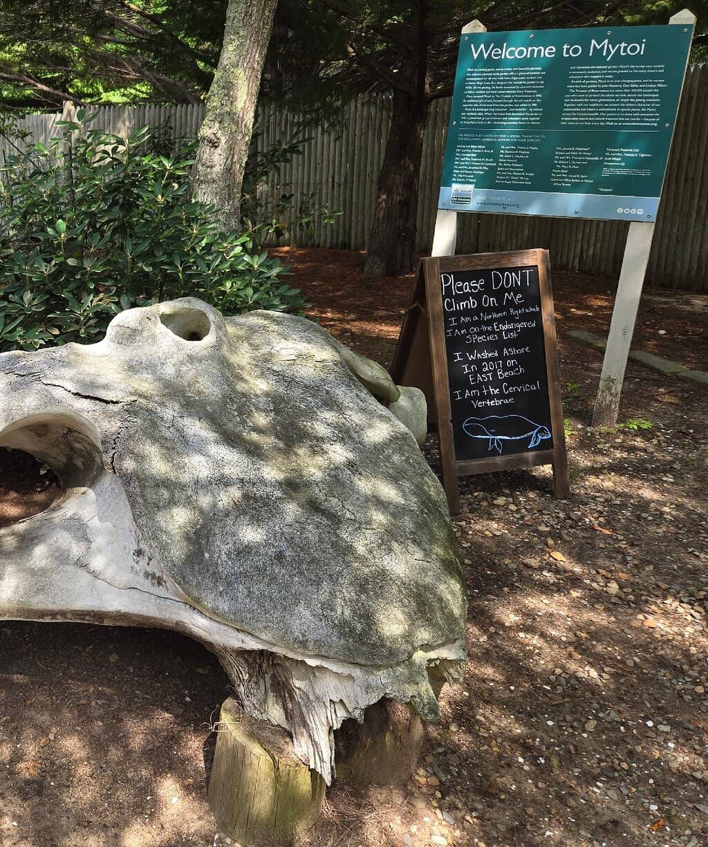 Traditional Structures