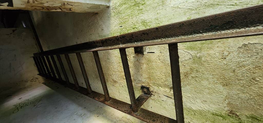 Scenic Hiking Trails