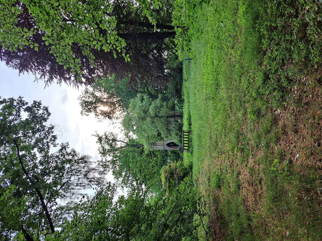 Vertical photo