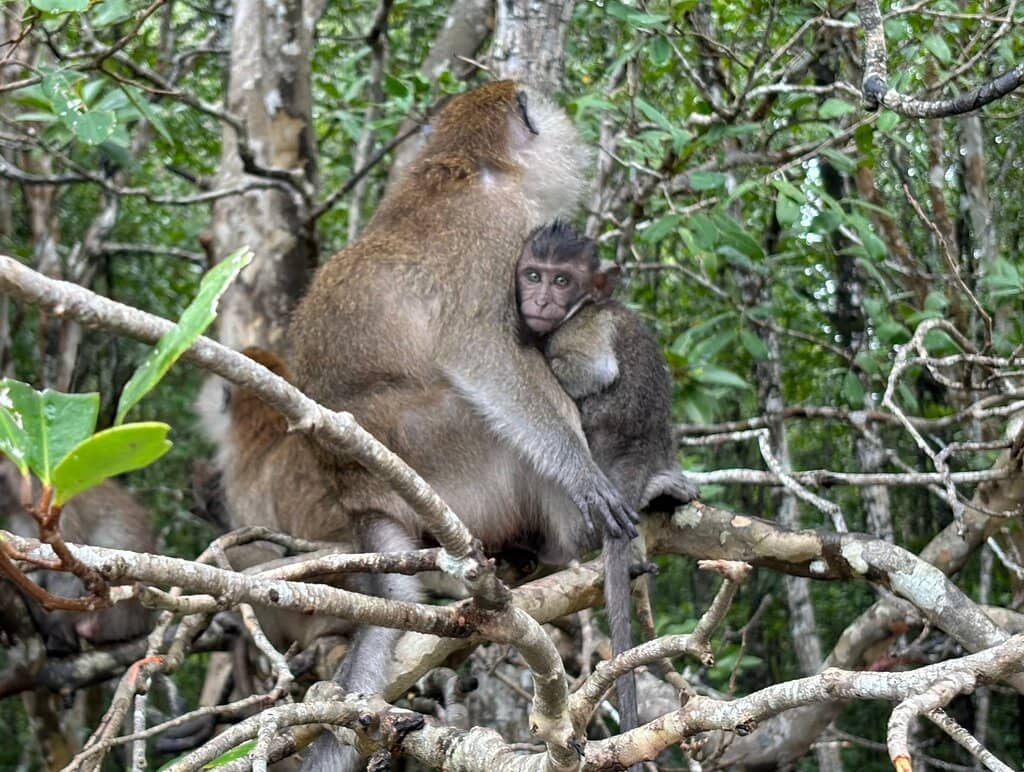 Bat Cave Exploration