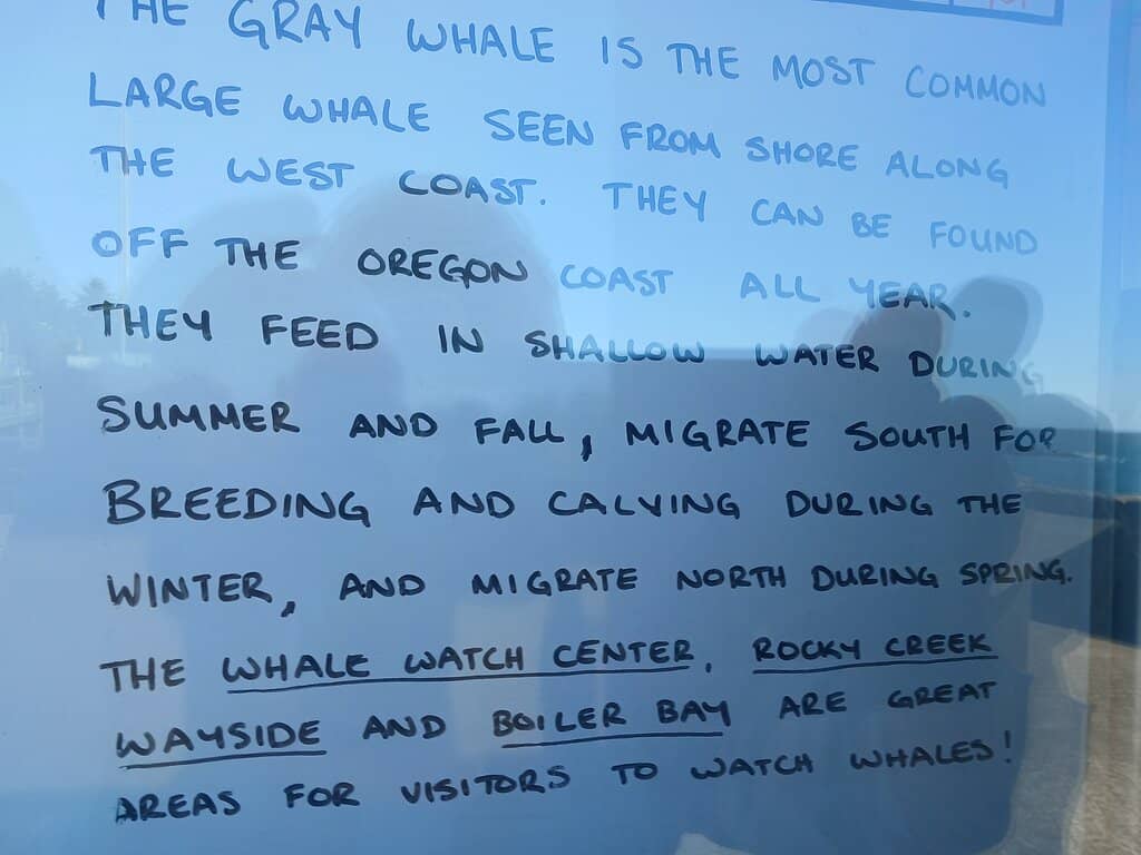 Shore Observation Decks