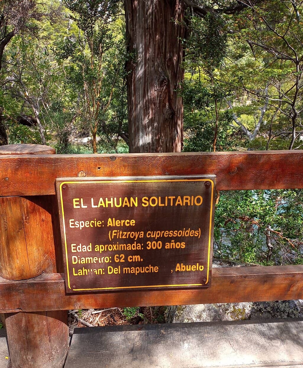Torrecillas Glacier Views