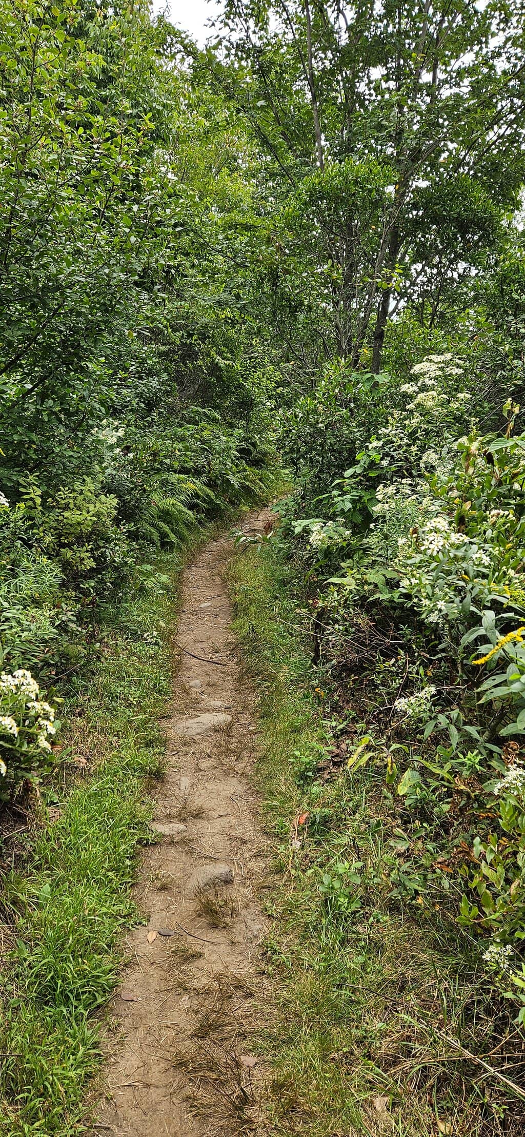 Panoramic Penobscot Bay Views
