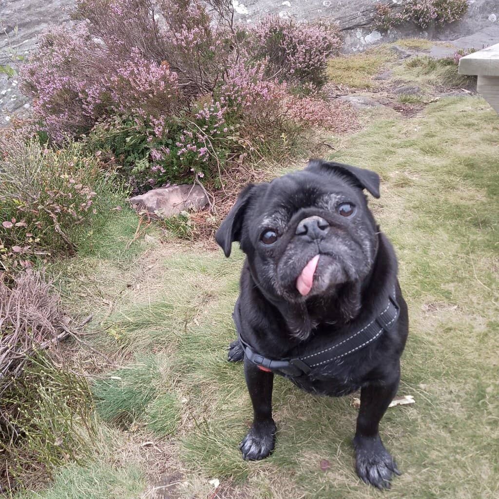 Breathtaking 360° Panoramas