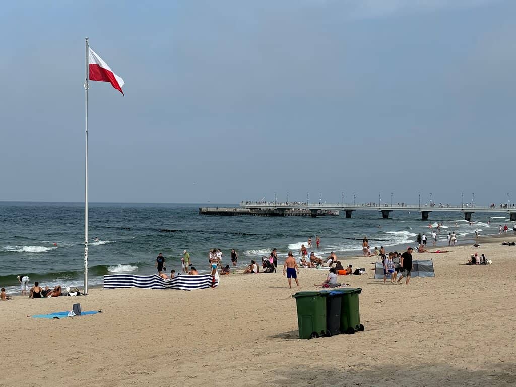 Family-Friendly Atmosphere