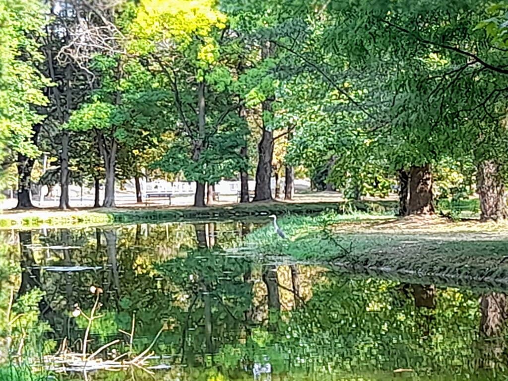 Tranquil Pond & Waterways