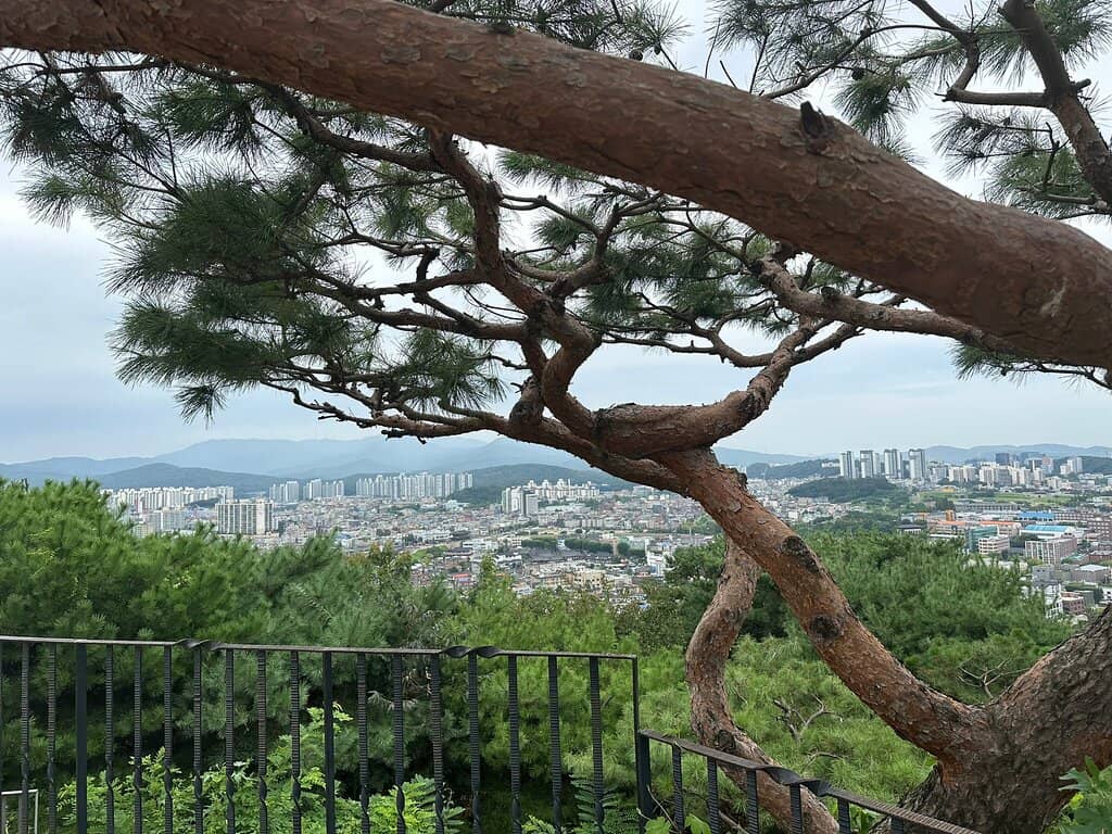 Vertical photo
