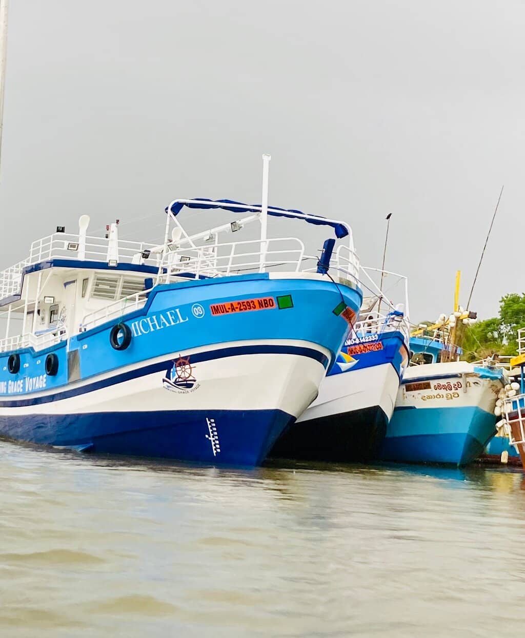 Negombo Lagoon Ecosystem