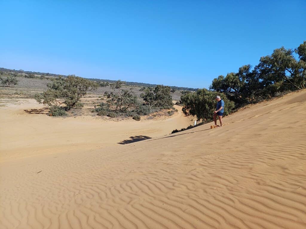 Rolling Sand Dunes