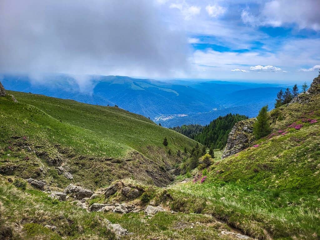 Mountain Biking Trails