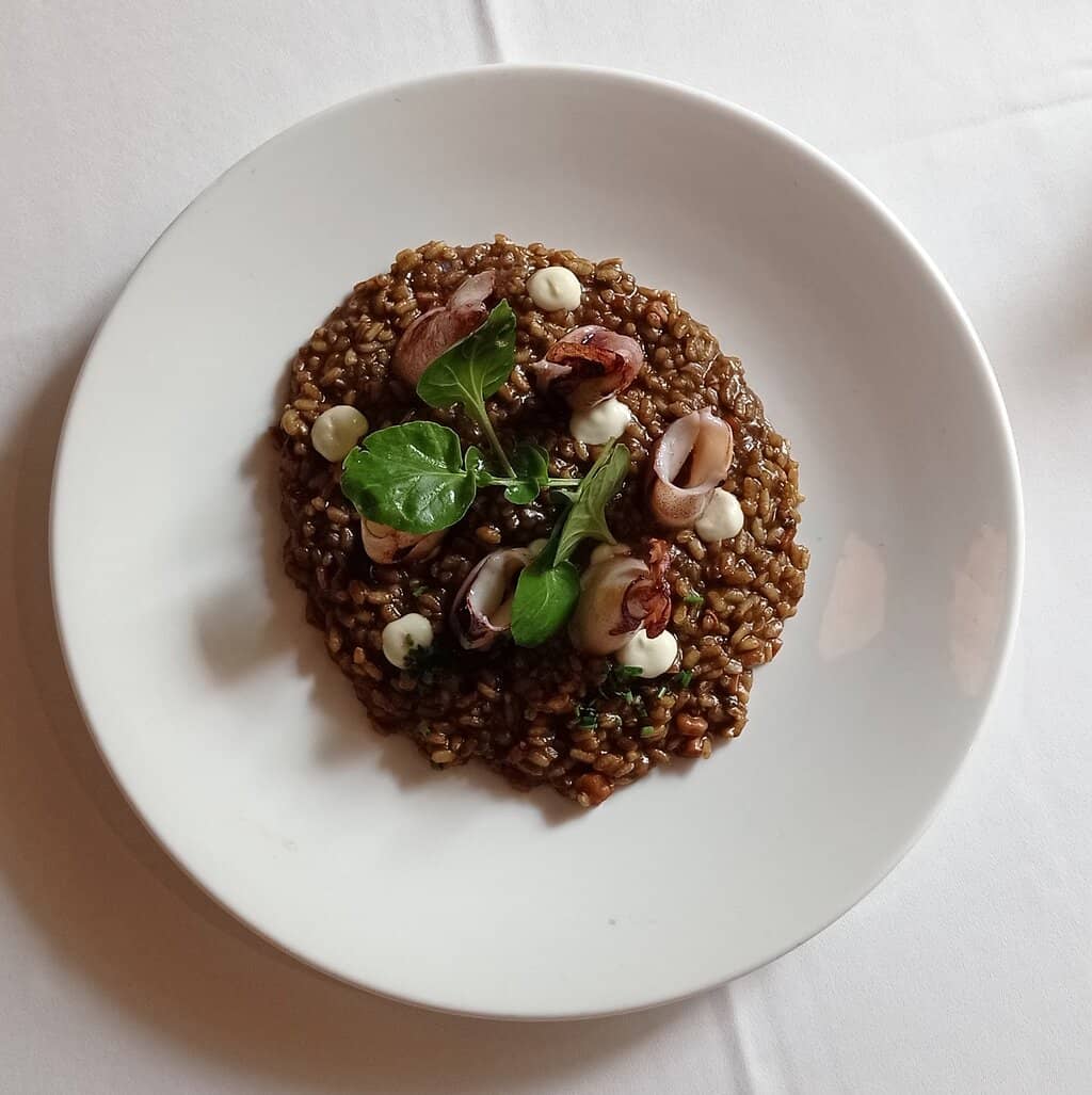 Chipirones en su Tinta