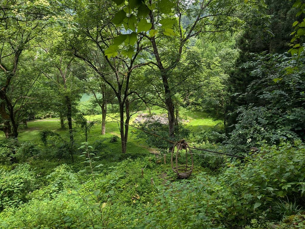 Scenic Viewing Area