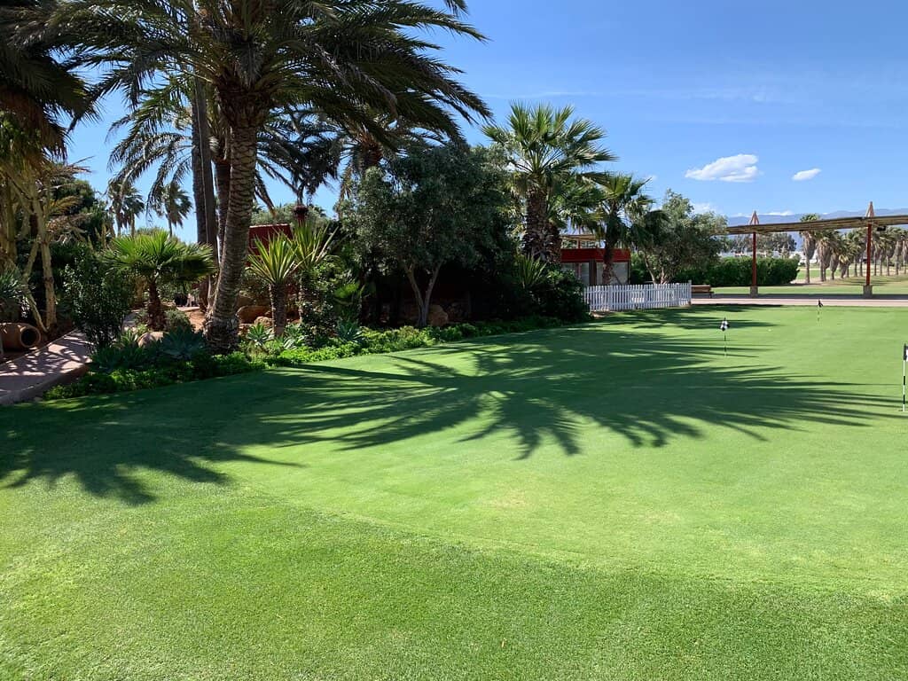 Immaculate Greens