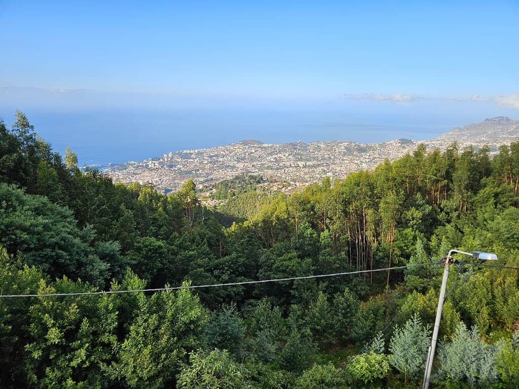 Panoramic Funchal Vista