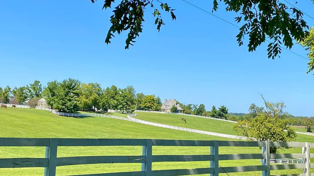 Crest View Homesites