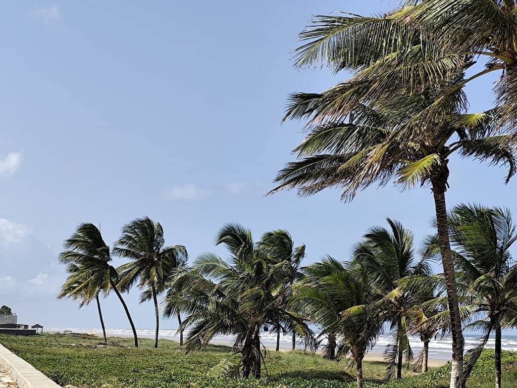 Magical Nighttime Lights