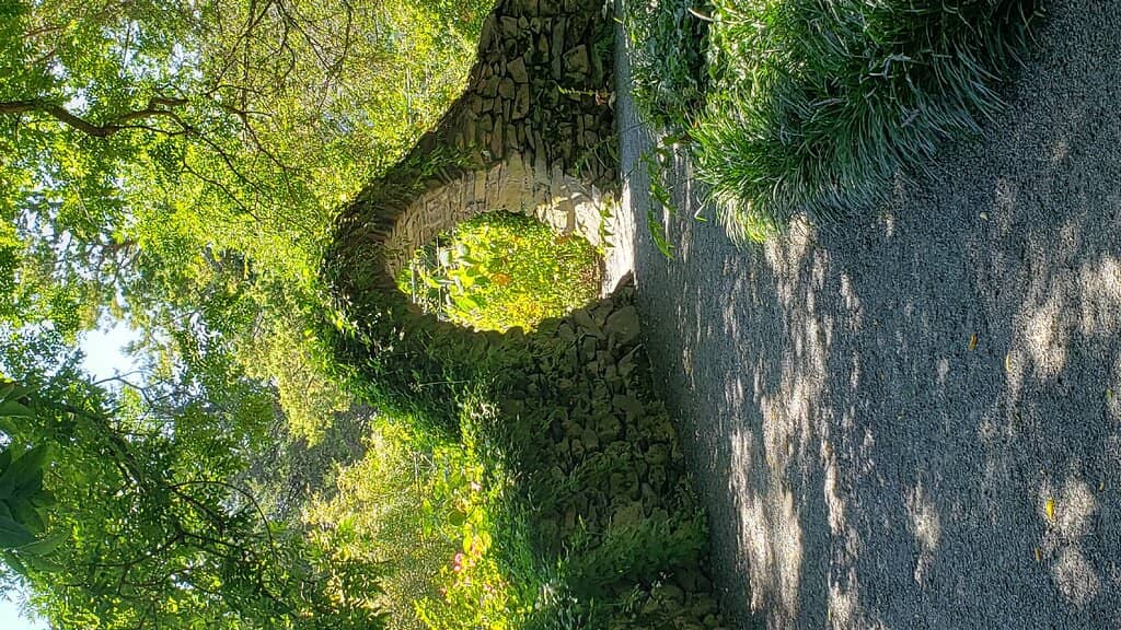 Big Beautiful Bamboo Birds