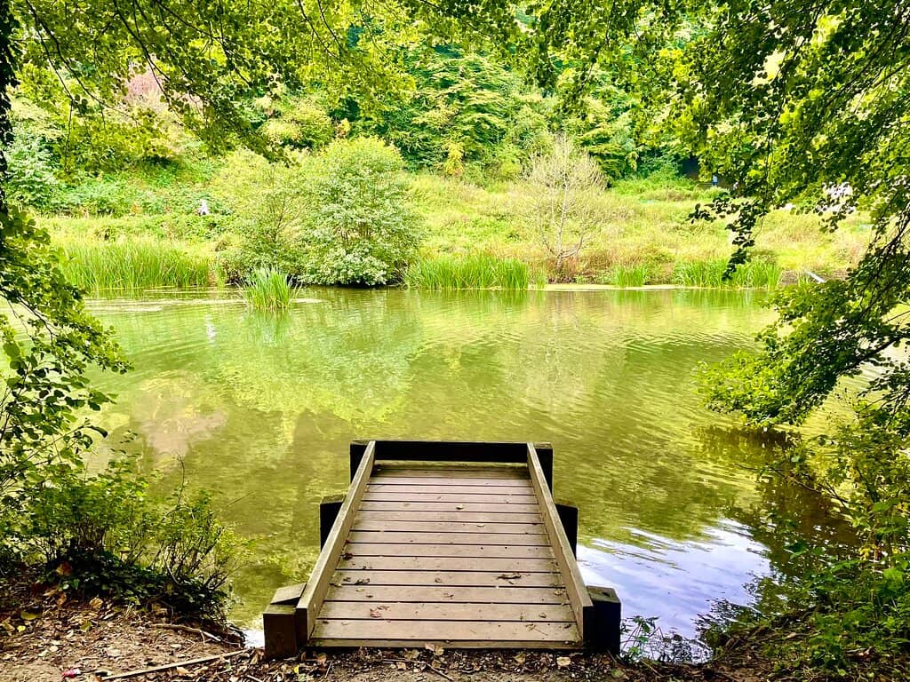 Wild Swimming Spot