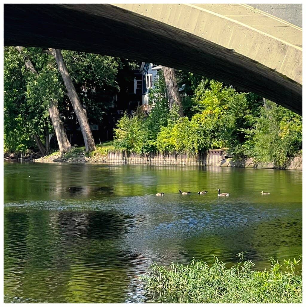 Vertical photo