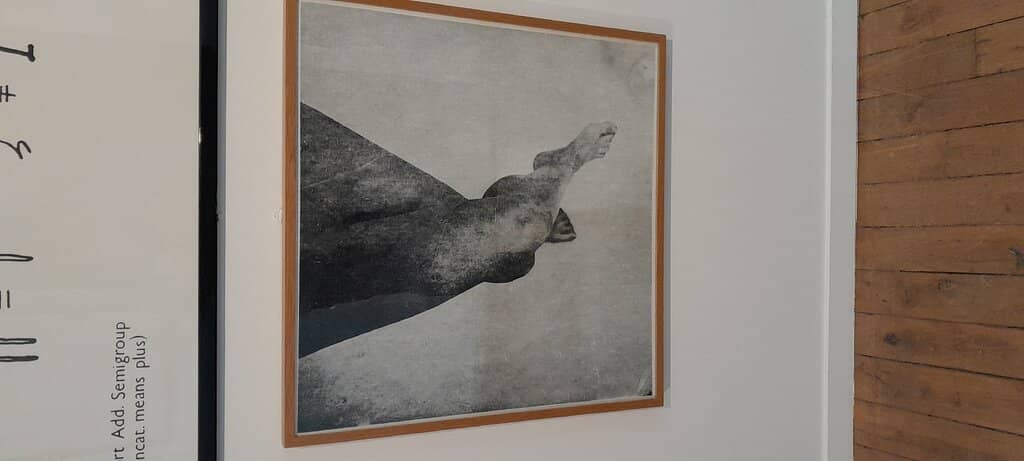 Interactive Art Installations