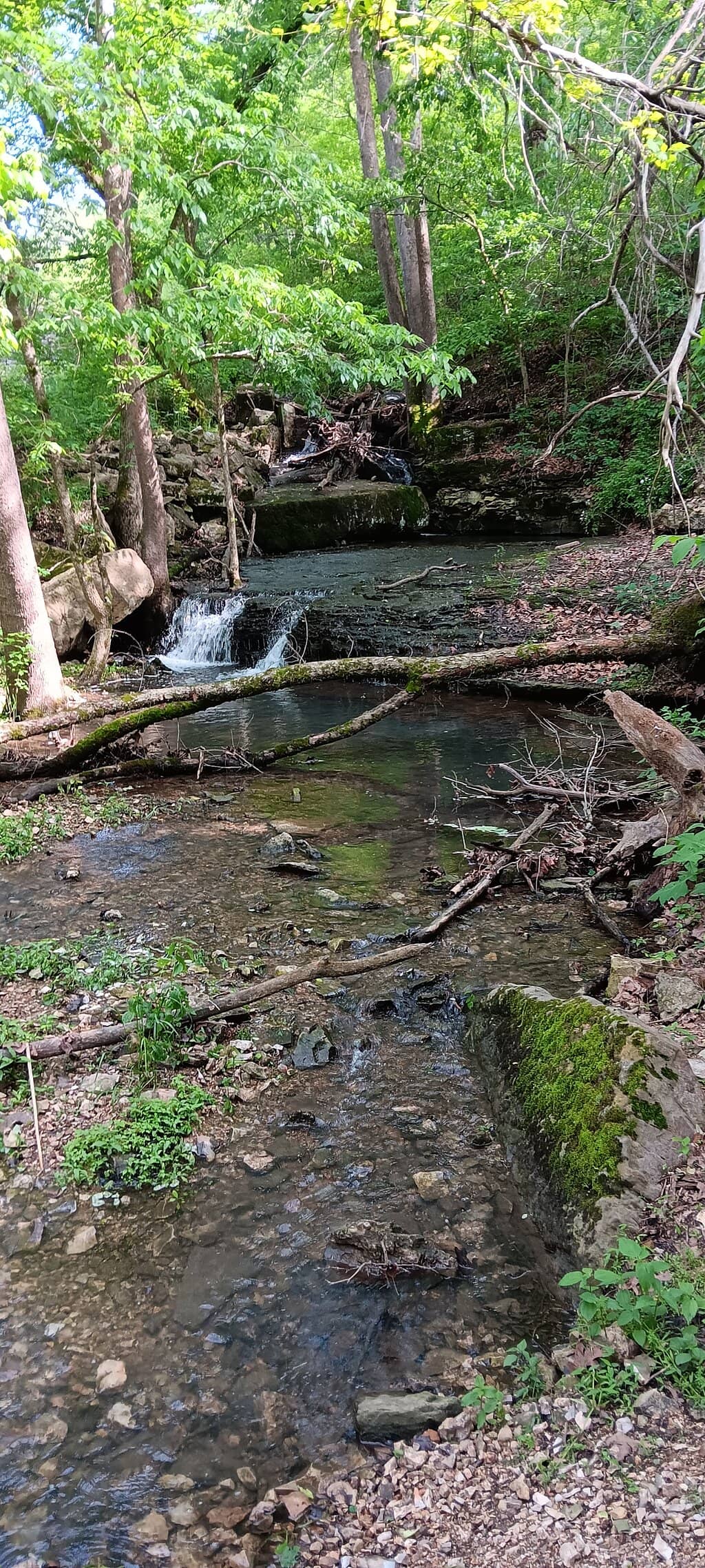Lake Loop Trail
