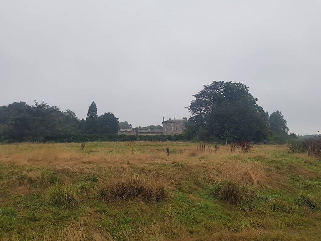 Wooded Walking Trails