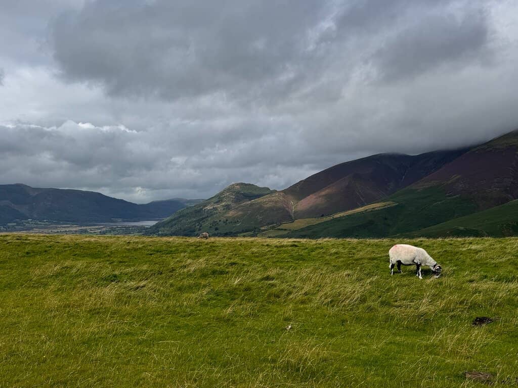 Derwentwater Panorama