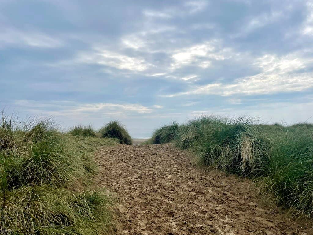 Coastal Path Views