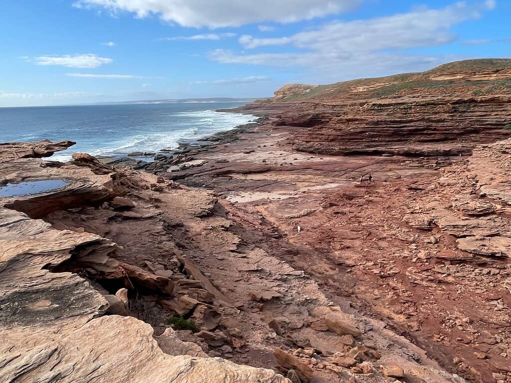 Wildlife Spotting Opportunities