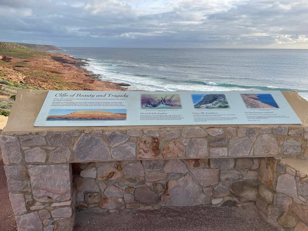 Whale Watching Opportunities