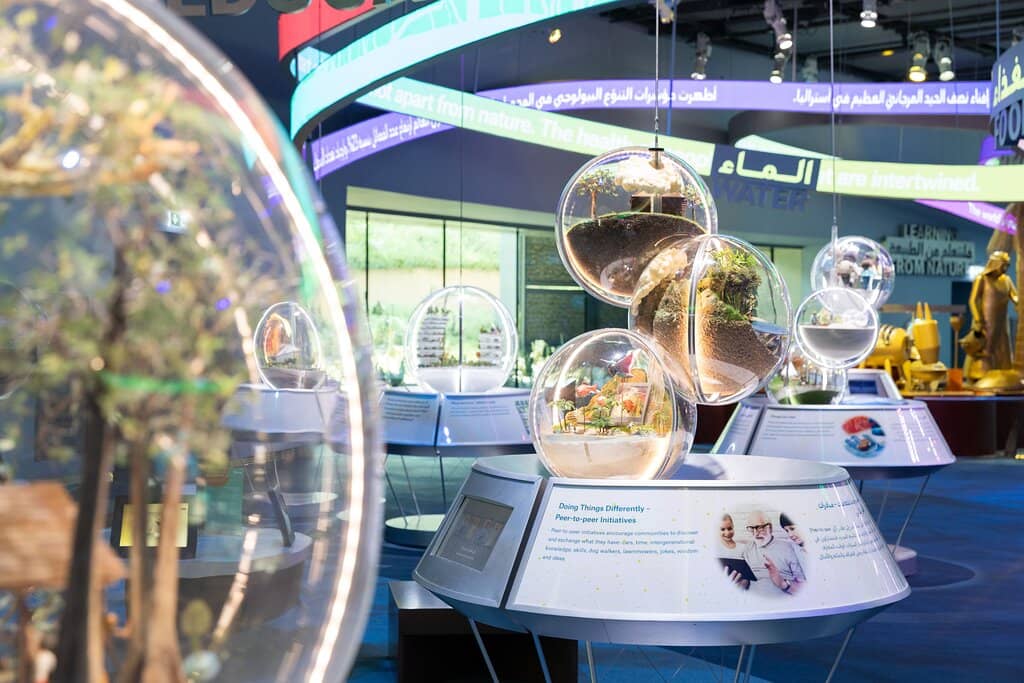 Stunning Desert Oasis Pool