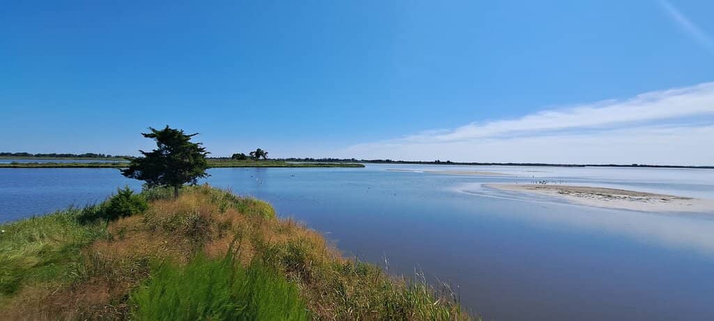 Boardwalk Trail