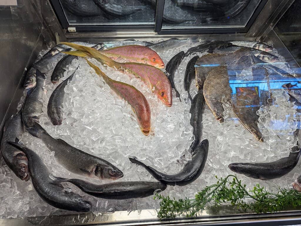 Creative Oyster Preparations