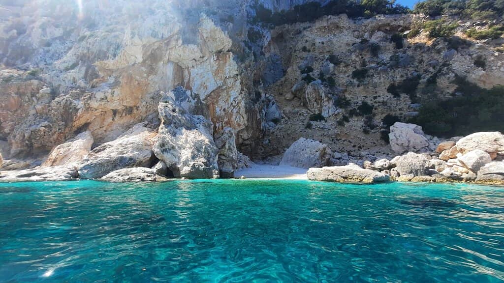 Abundant Marine Life