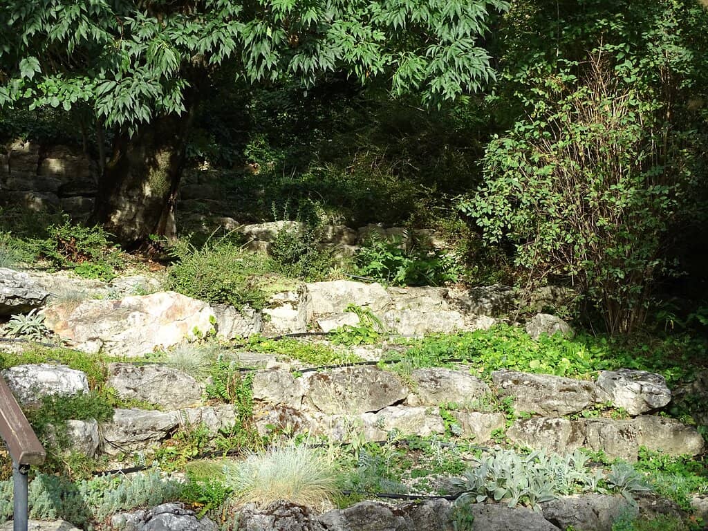 Vertical photo