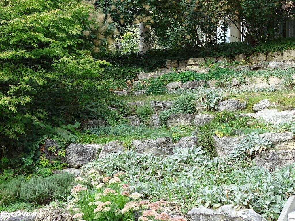 Sculptures Amidst Nature