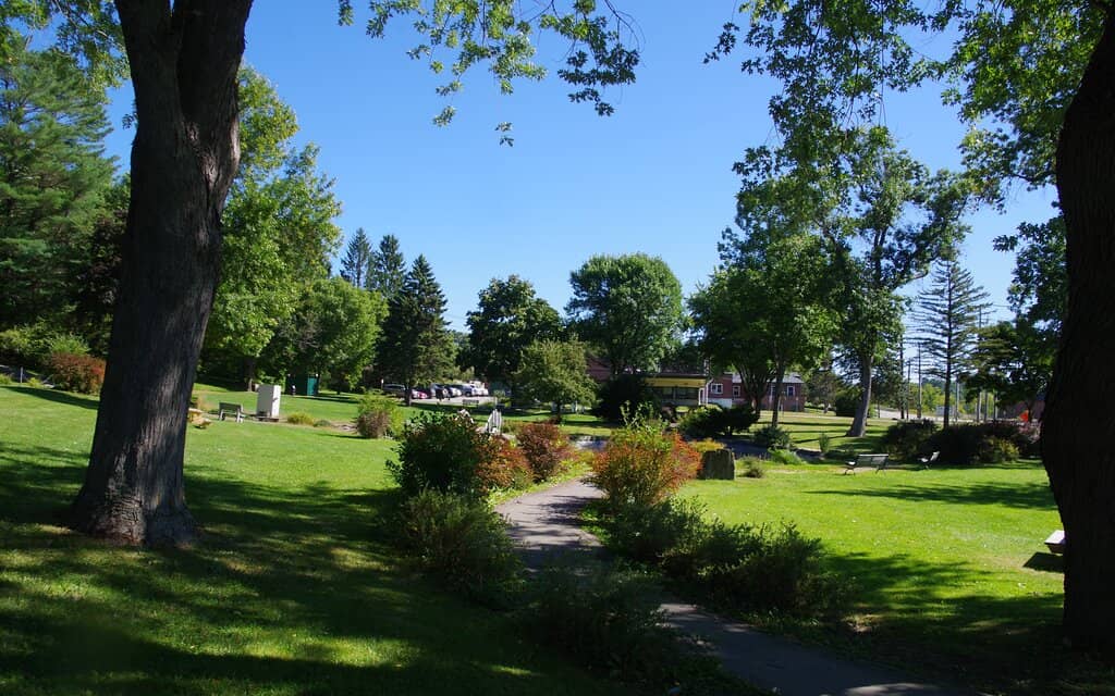 Holiday Light Displays