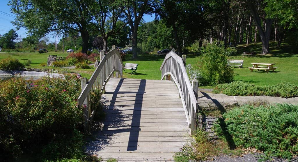 Scenic Walking Trails