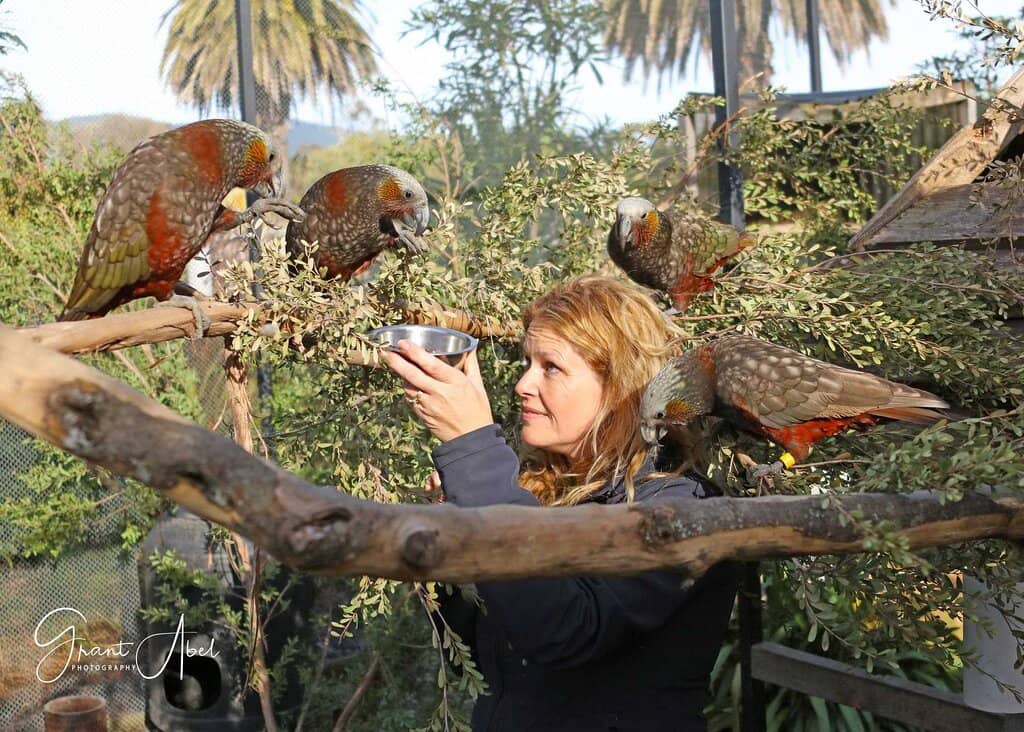 Exotic Animal Encounters