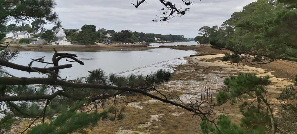 Island Loop Walk