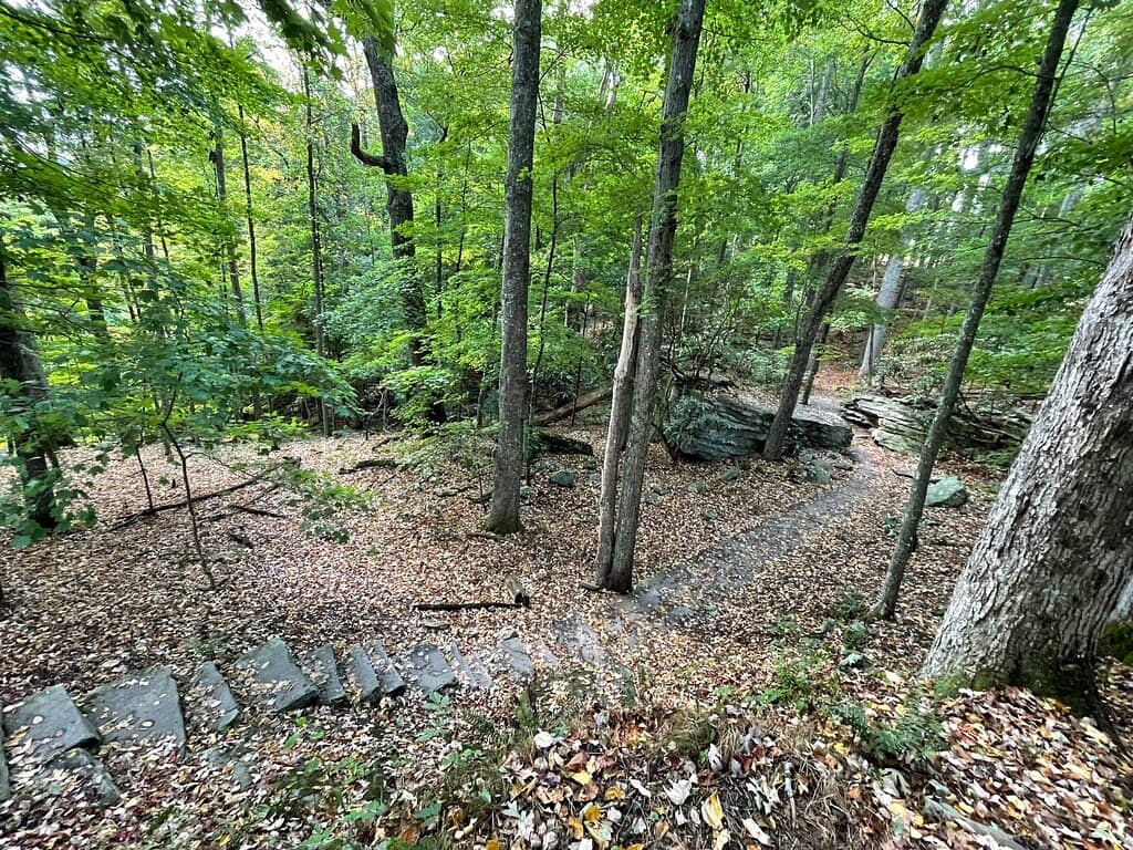 Park Ranger Guidance