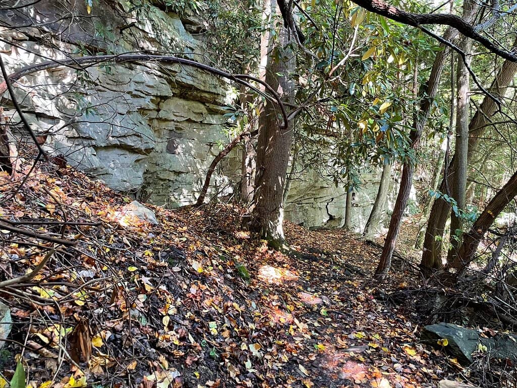 Vertical photo